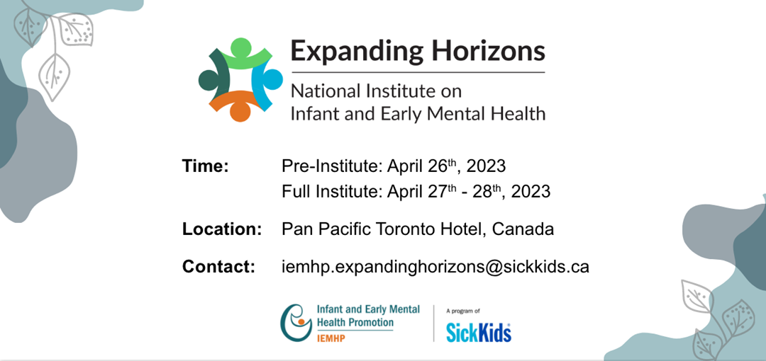 Expanding Horizons National Institute on Infant and Early Mental Health 