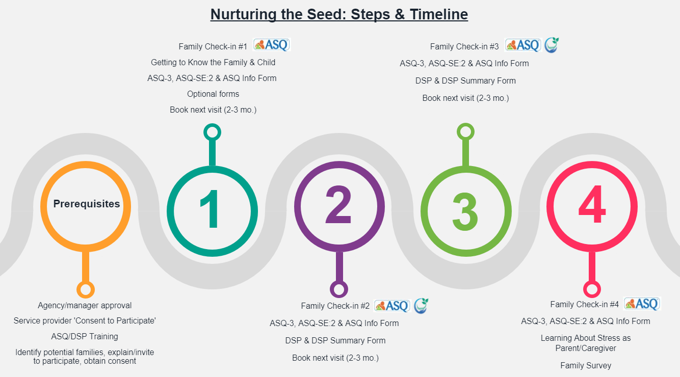 This image describes the 4 steps of the NTS program. It start by identifying the preparation phase of community engagement, agency and service provider agreement and training. It then shows step 1, the first family visit which includes the ASQ screens and family surveys. Step 2 is 2-3 months later and includes the 2nd ASQ screens and the first DSP. After 2-3 months is Step 3, family visit #3 and at this visit are ASQ screens and the next DSP. Step 4 is the final step, Family visit #4 and includes final ASQ screens, surveys and planning with family for next steps.
